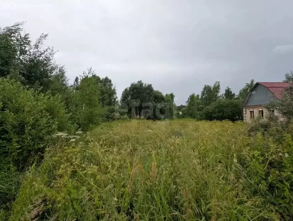 Участок в Московская область, городской округ Воскресенск, деревня ... - Фото 2