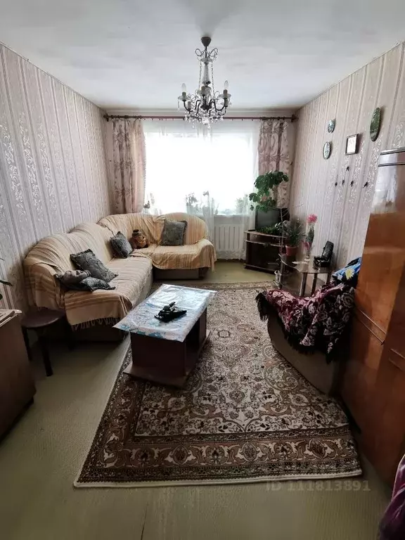 Комната Приморский край, Владивосток Шилкинская ул., 13 (16.0 м) - Фото 0