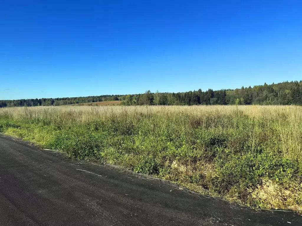 Участок в Московская область, Дмитровский муниципальный округ, ... - Фото 1