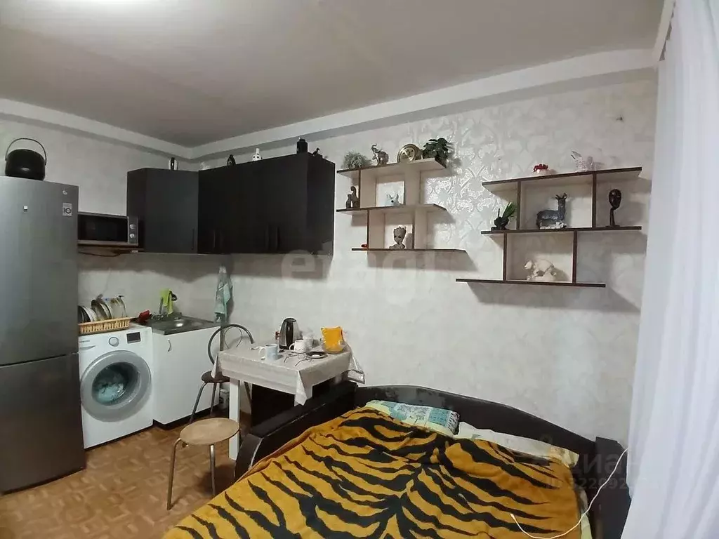 Студия Ставропольский край, Ессентуки ул. Фридриха Энгельса (17.9 м) - Фото 1