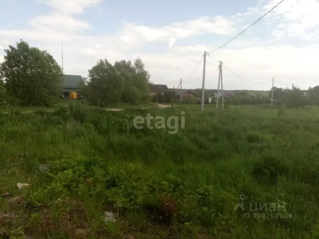 Участок в Костромская область, Красносельский район, Чапаевское с/пос, ... - Фото 1