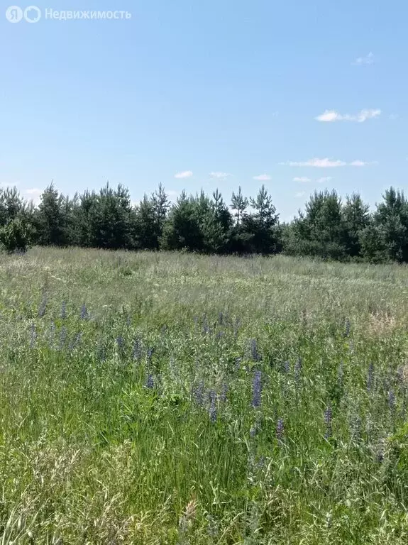 Участок в Судогодский район, муниципальное образование Лавровское, ... - Фото 0