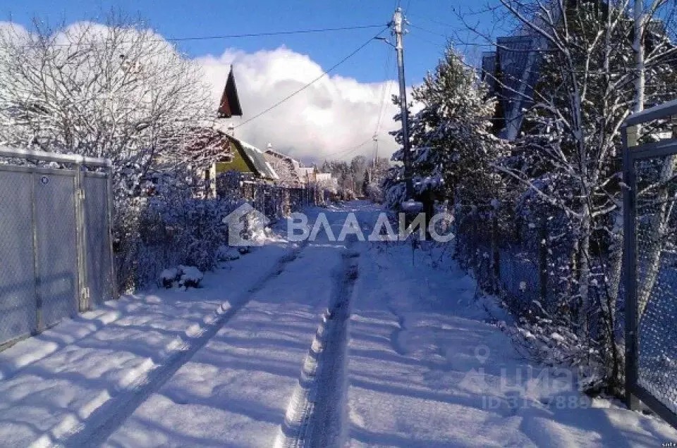 Участок в Пензенская область, Пенза Росток садовое дачное ... - Фото 1