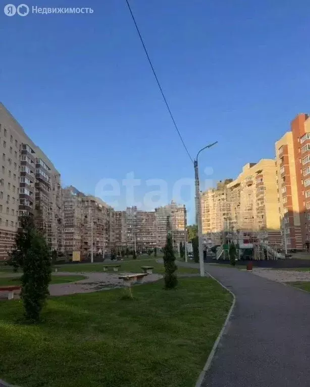 1-комнатная квартира: Красный Бор, квартал Светлояр, 5 (40 м) - Фото 2