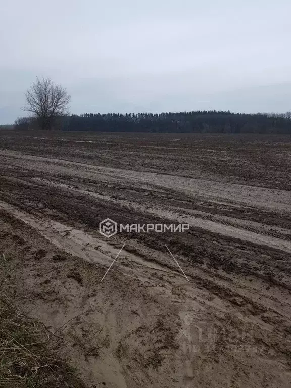 Участок в Орловская область, Орловский район, д. Чаплыгино ул. Горная, ... - Фото 0