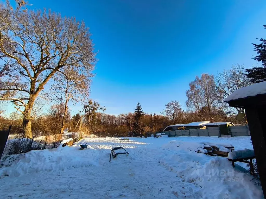 Участок в Калининградская область, Гурьевский муниципальный округ  ... - Фото 1