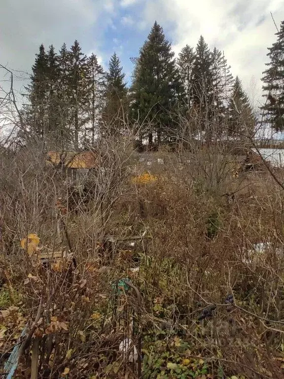 Участок в Пермский край, Пермь ул. Космонавта Леонова, 89/105 (6.7 ... - Фото 1