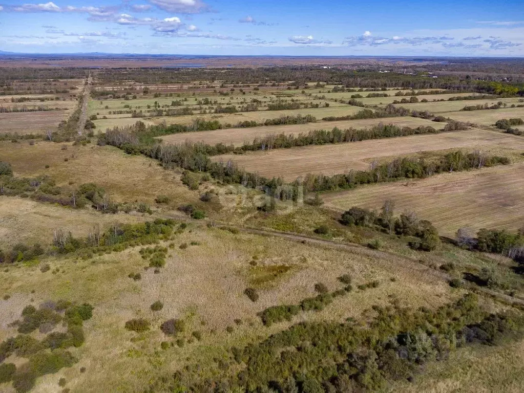 Участок в Хабаровский край, Хабаровский район, Мичуринское с/пос, с. ... - Фото 2