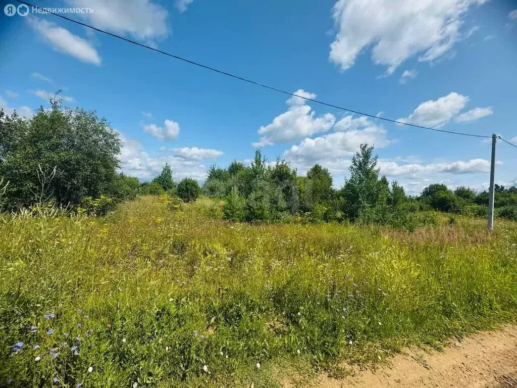 Участок в Чернушка, Рябиновая улица (14 м) - Фото 1