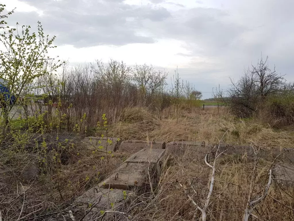 Участок в Нижегородская область, Богородский район, с. Доскино ... - Фото 1