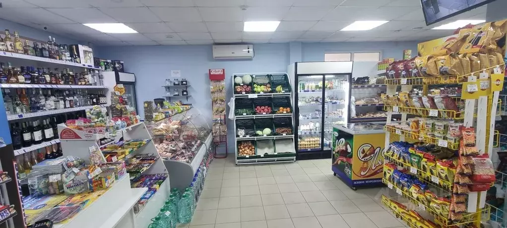 Помещение свободного назначения в Краснодарский край, Сочи Гагарина ... - Фото 0