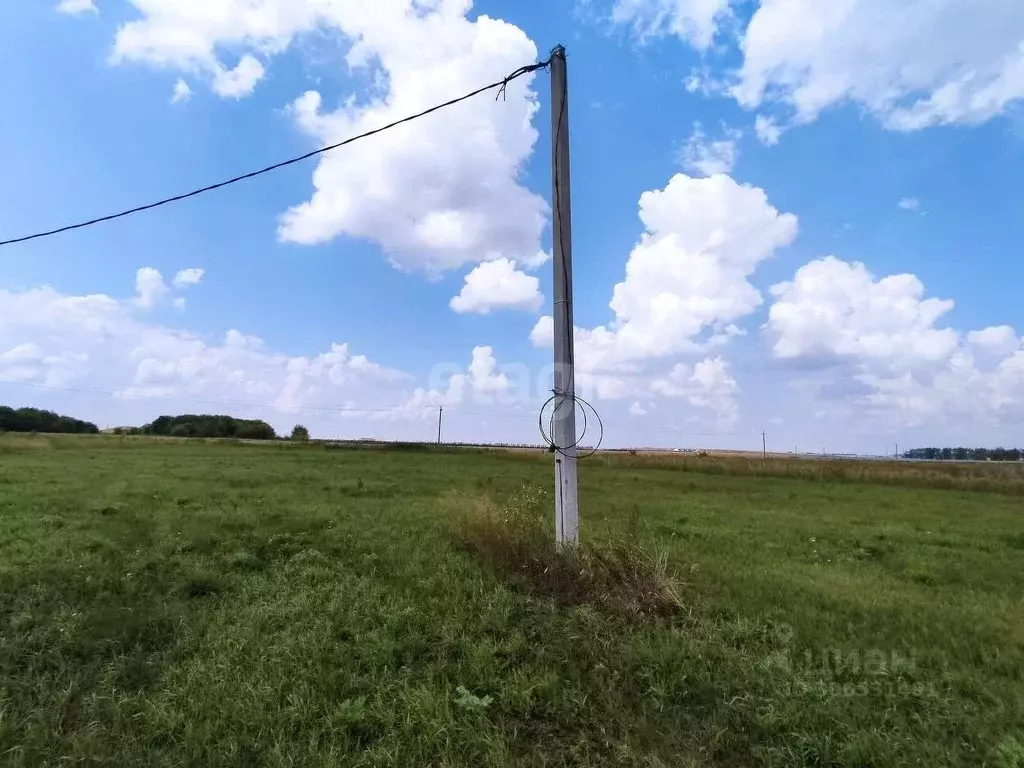 Участок в Воронежская область, Новоусманский район, с. Рогачевка ул. ... - Фото 0