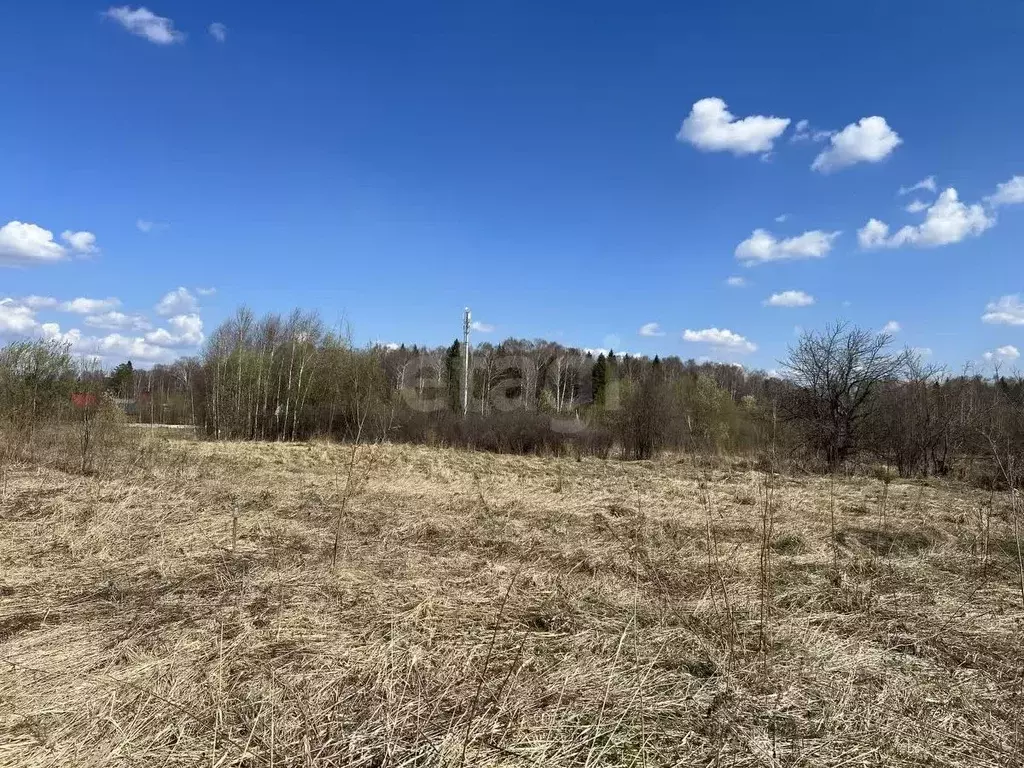 Участок в Кировская область, Санчурский муниципальный округ, д. ... - Фото 1