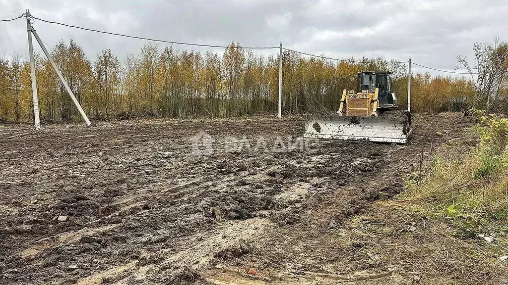 Участок в Ленинградская область, Ломоносовский район, Лаголовское ... - Фото 1