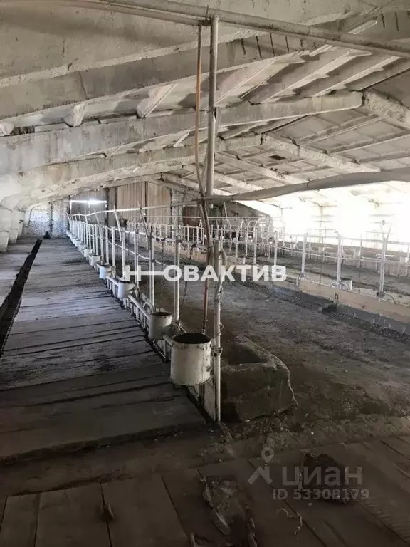 Помещение свободного назначения в Алтайский край, Крутихинский район, ... - Фото 1