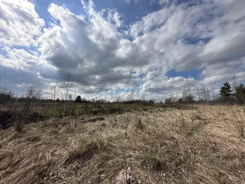 Участок в Воронежская область, Рамонский район, Айдаровское с/пос, ... - Фото 1