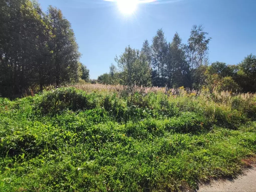 Участок в Московская область, Волоколамский муниципальный округ, д. ... - Фото 1