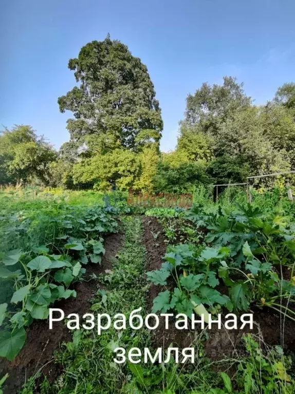 Участок в Ленинградская область, Ломоносовский район, Горбунковское ... - Фото 2