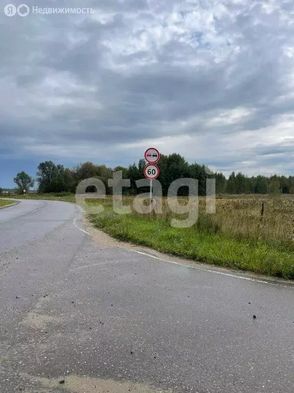 Участок в Нерехтский район, Пригородное сельское поселение, село ... - Фото 1