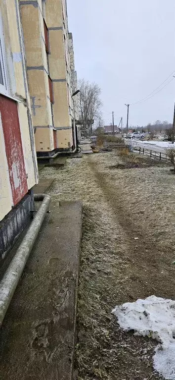 3-к кв. Ленинградская область, Волосовский район, Бегуницкое с/пос, ... - Фото 2