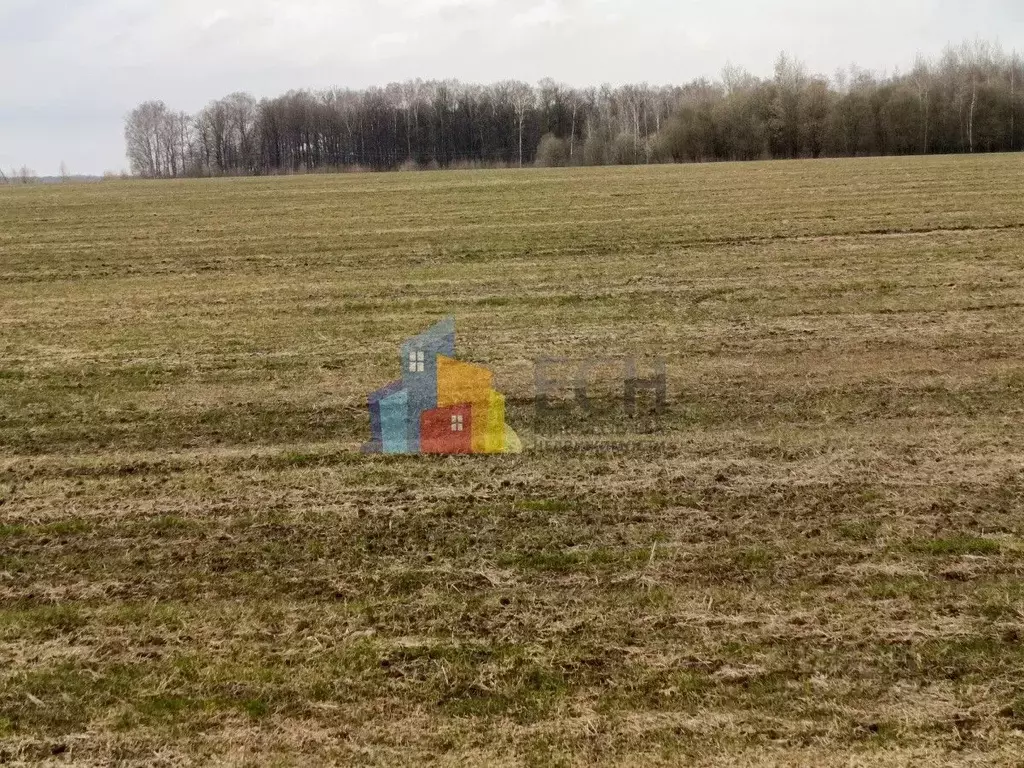 Участок в Тульская область, Тула городской округ, пос. Рассвет  (10.81 ... - Фото 2