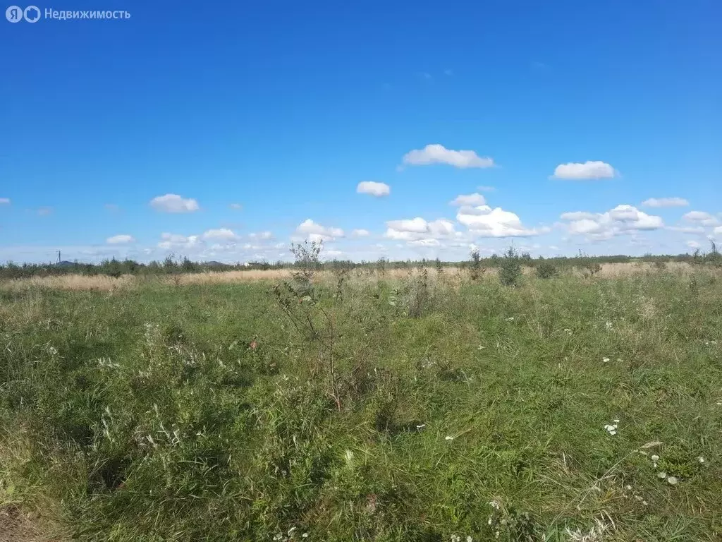 Участок в Калининградская область, Гурьевский муниципальный округ, ... - Фото 1