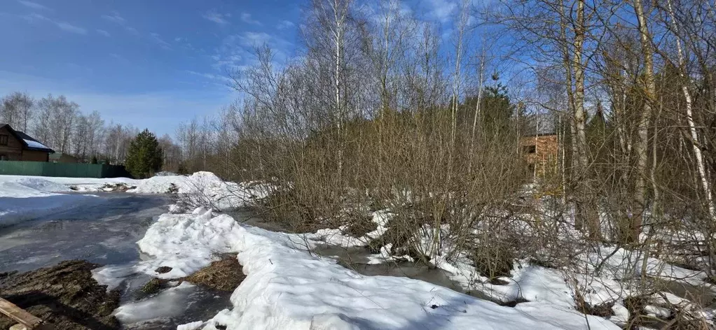 Участок в Московская область, Электросталь городской округ, д. Бабеево ... - Фото 0
