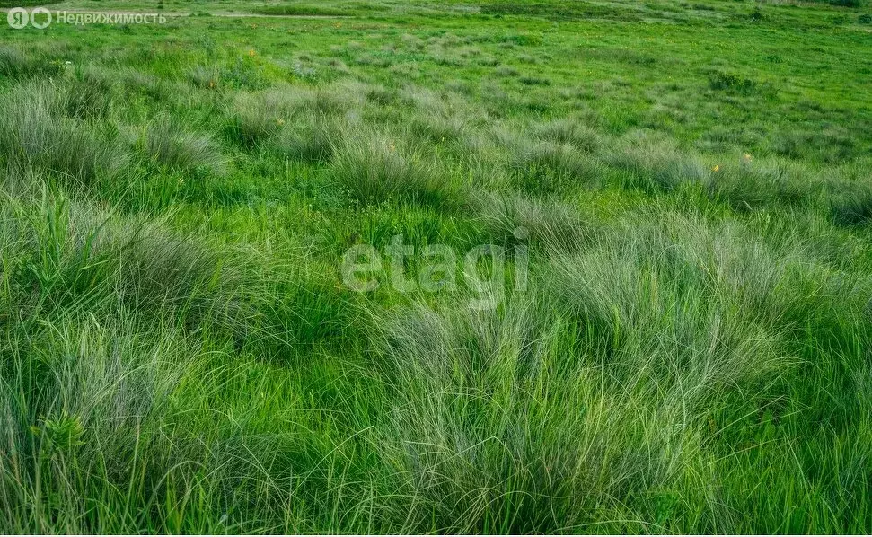 Участок в Ставропольский район, село Ягодное (6 м) - Фото 2