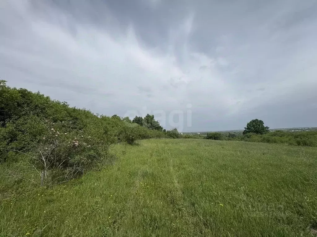 Участок в Белгородская область, Короча городское поселение, с. ... - Фото 0