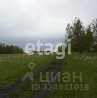 Участок в Красноярский край, Емельяновский муниципальный округ, с. ... - Фото 1