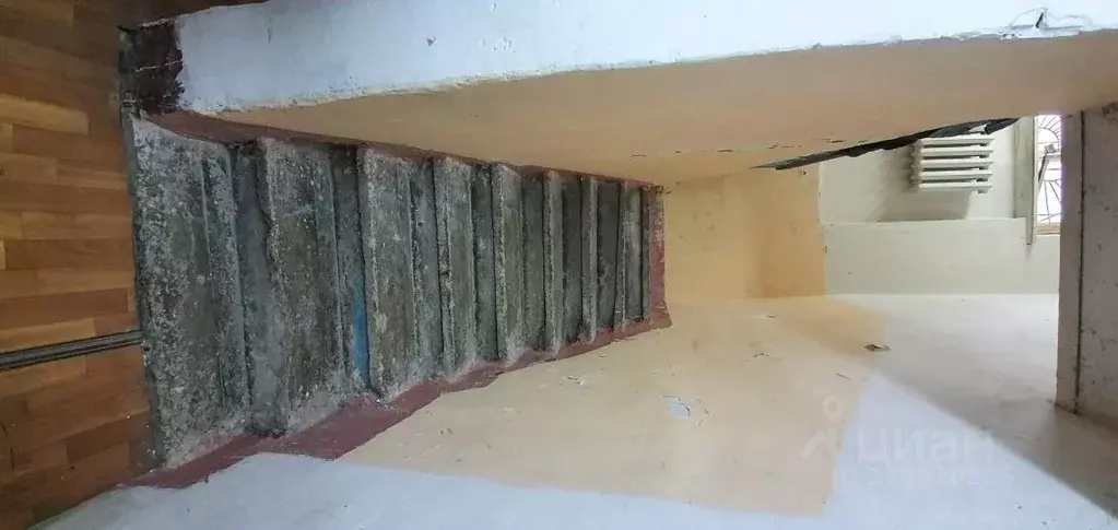 Помещение свободного назначения в Самарская область, Тольятти ул. ... - Фото 0