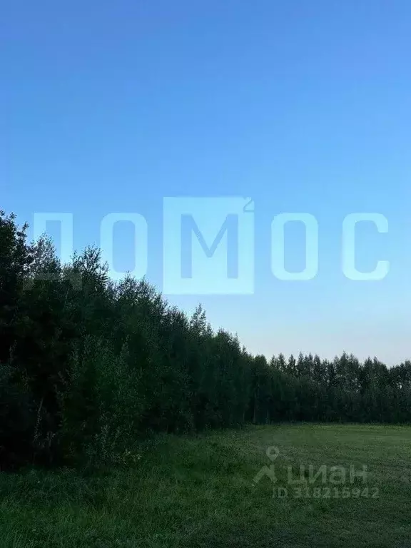 Участок в Свердловская область, Белоярский муниципальный округ, с. ... - Фото 0