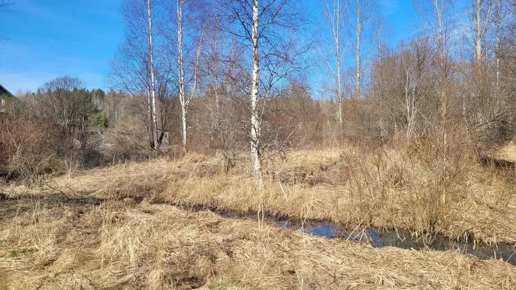 Участок 9 сот. (СНТ, ДНП) - Фото 0