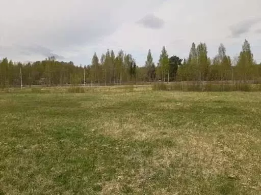 Участок в Смоленская область, Гагаринский муниципальный округ, д. ... - Фото 0