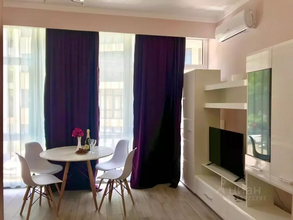 Студия Краснодарский край, Сочи Кутаисская ул., 1/1 (30.0 м) - Фото 2