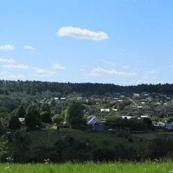 Продается участок в д. Чичково - Фото 1