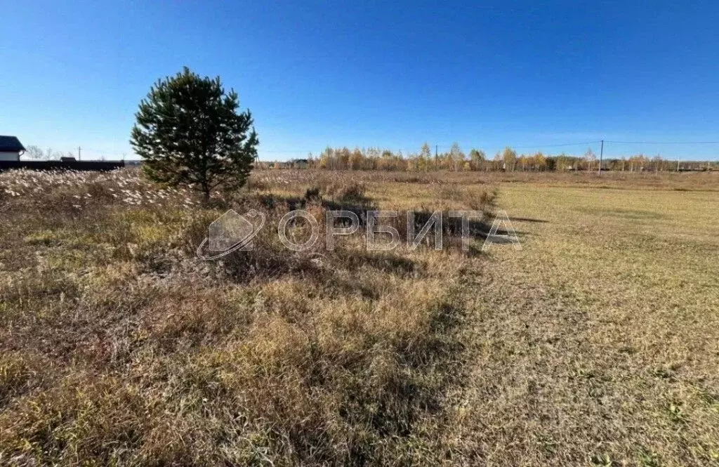 Участок в Тюменская область, Тюменский муниципальный округ, д. ... - Фото 1