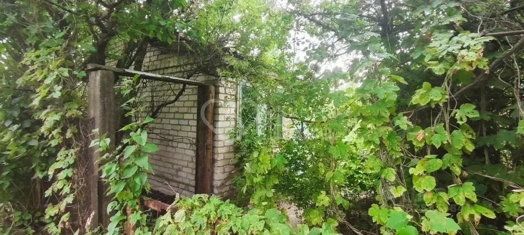 Дом в Волгоградская область, Волгоград Горчичник СНТ, ул. Абрикосовая ... - Фото 2