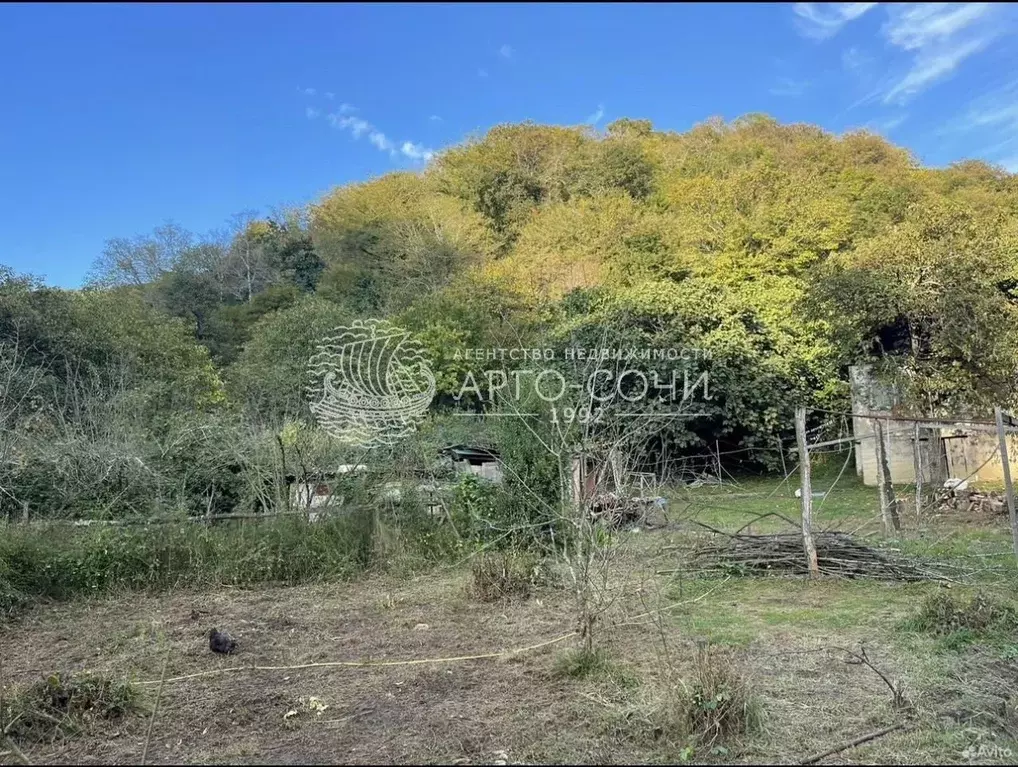 Участок в Краснодарский край, Сочи городской округ, с. Зубова Щель ул. ... - Фото 0