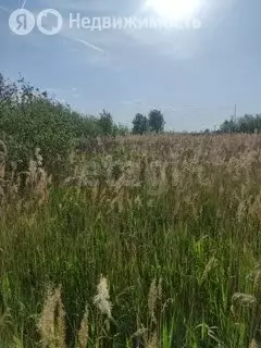 Участок в Тюмень, территория СОСН Изыскатель, Яблоневая улица (9 м) - Фото 1