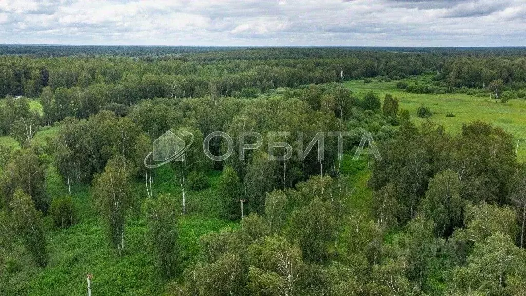 Участок в Тюменская область, Тюменский район, д. Решетникова Березовая ... - Фото 0