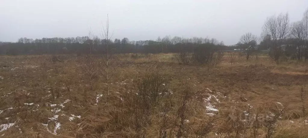 Участок в Московская область, Можайский муниципальный округ, д. Новая  ... - Фото 2