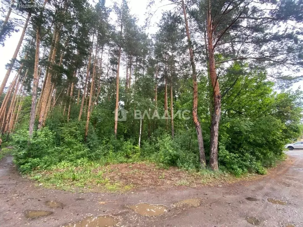 Участок в Пенза, садовое некоммерческое товарищество Дружба Завода ... - Фото 1