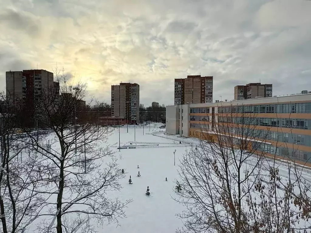 2-к кв. Санкт-Петербург ул. Ольги Форш, 11К1 (45.0 м) - Фото 2