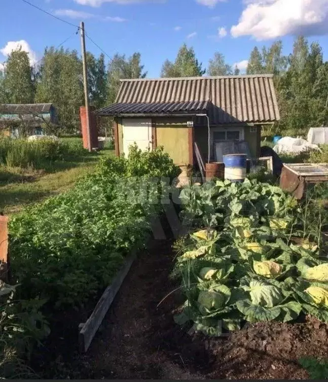 Дом в Вологодская область, Сокол Печаткино мкр,  (20 м) - Фото 0
