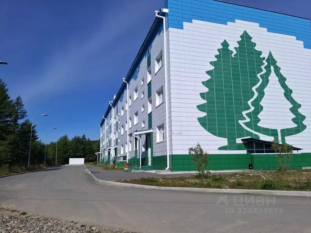 1-к кв. Магаданская область, Сокол пгт ул. Королева, 21Б (37.0 м) - Фото 2