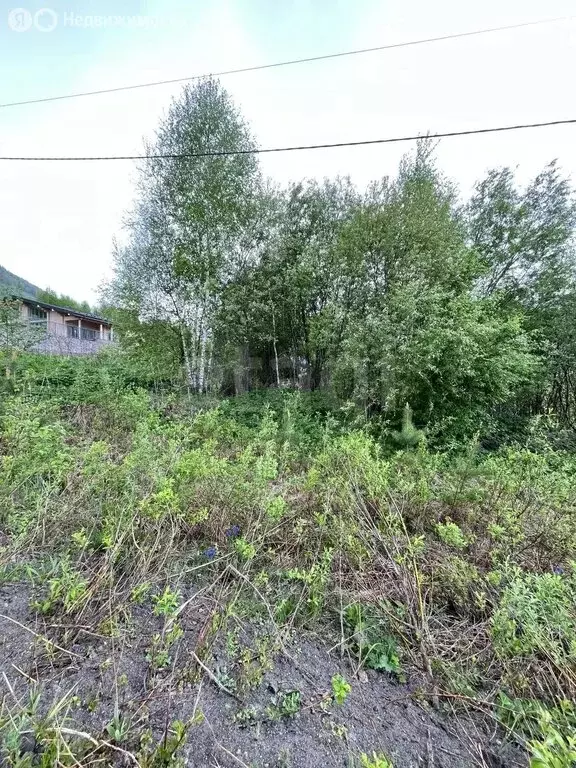 Участок в Манжерокское сельское поселение, село Озёрное, Грибная улица ... - Фото 1