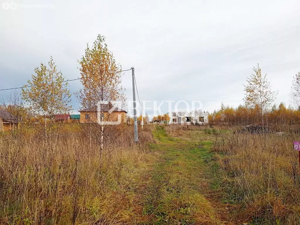 Участок в Костромской район, Самсоновское сельское поселение, деревня ... - Фото 2