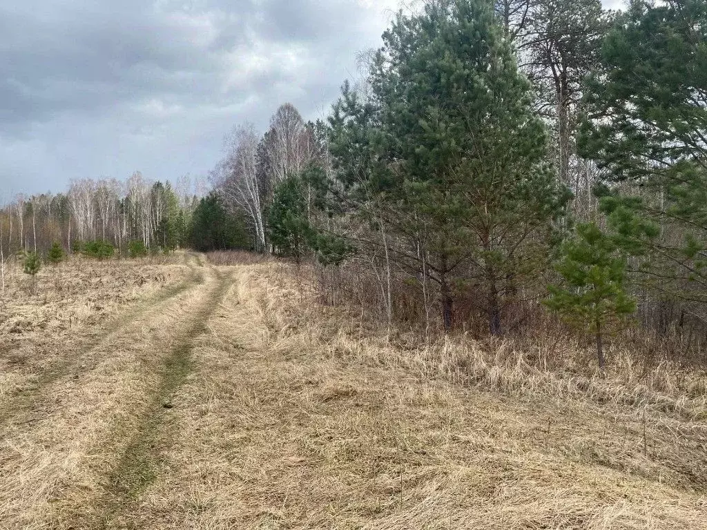 Участок в Красноярский край, Емельяновский муниципальный округ, ... - Фото 2