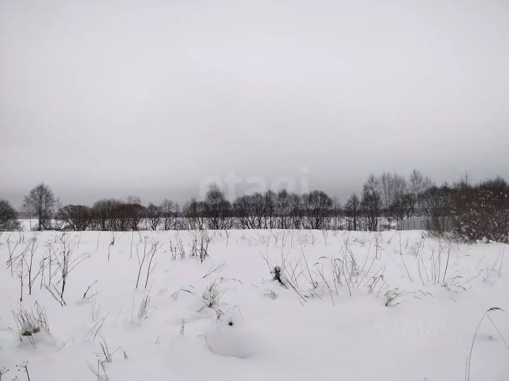 Участок в Смоленская область, Демидовский муниципальный округ, ... - Фото 2